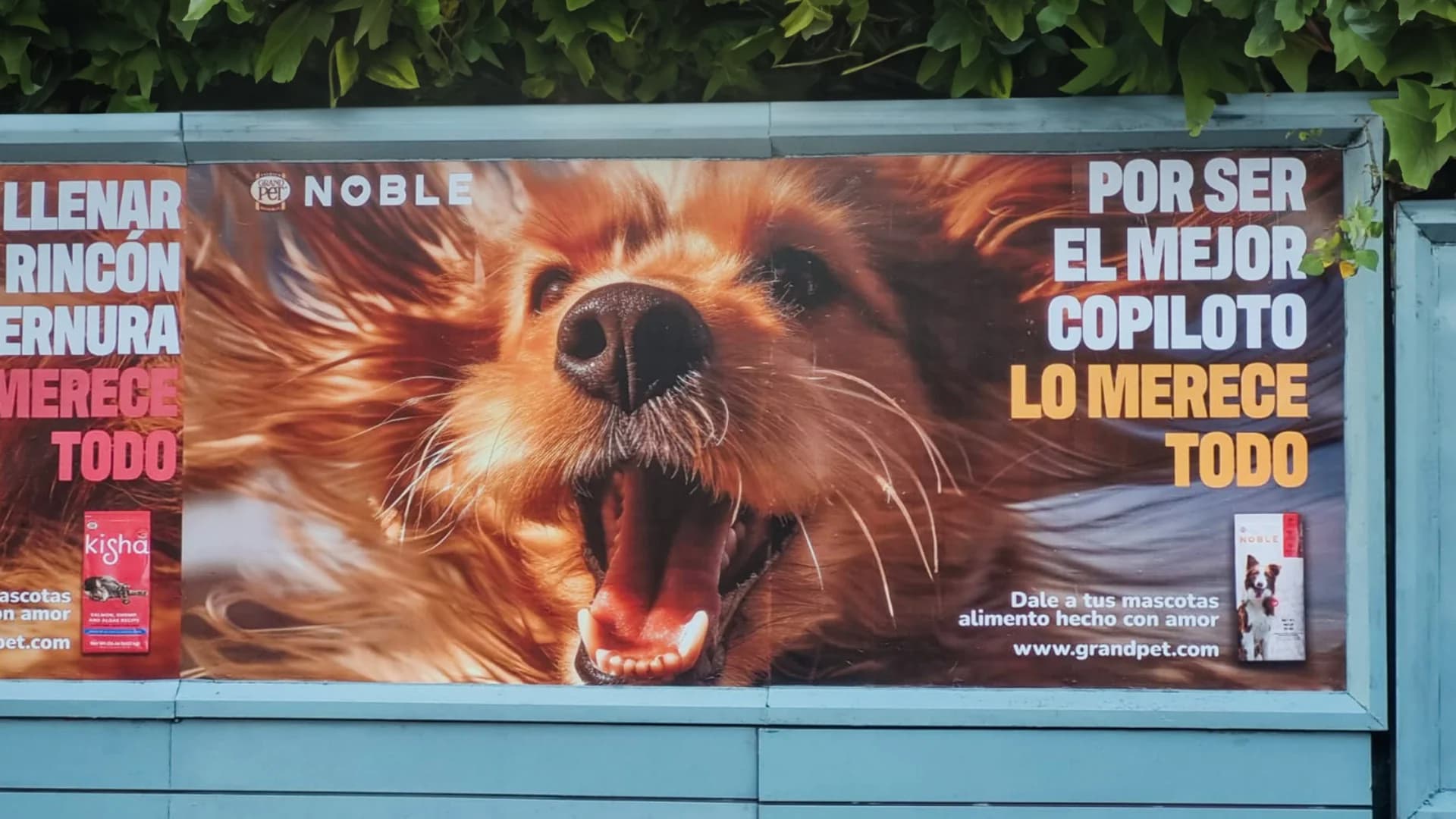 Valla fija en cdmx grand pet